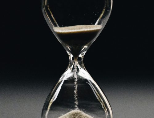 Newsletter #11 – Leadership, mixité, engagement : l’actu VoxDemeter du mois