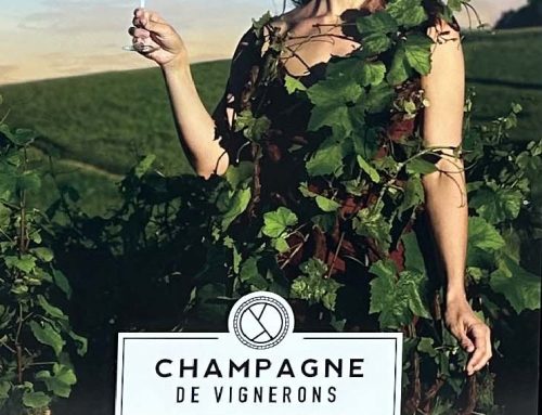 Viticultrice en champagne : le choix de Tiphaine Millot